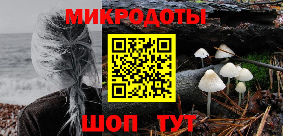 Галлюциногенные грибы Cubensis Москва